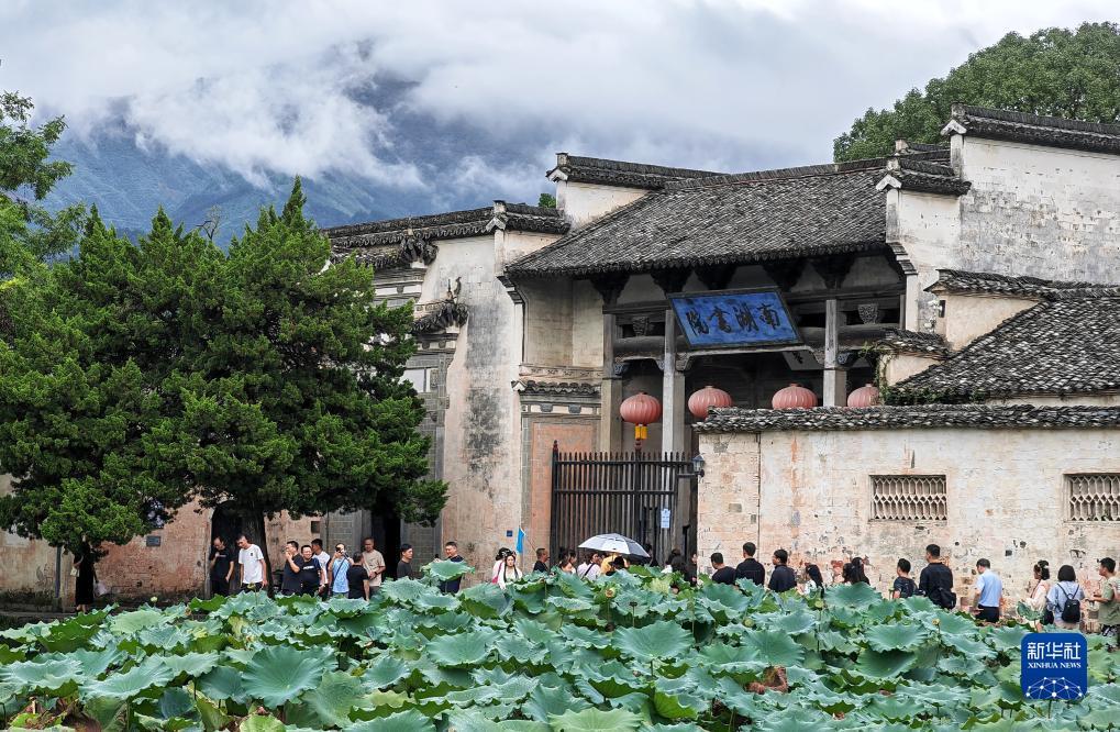 威人斯尼首页